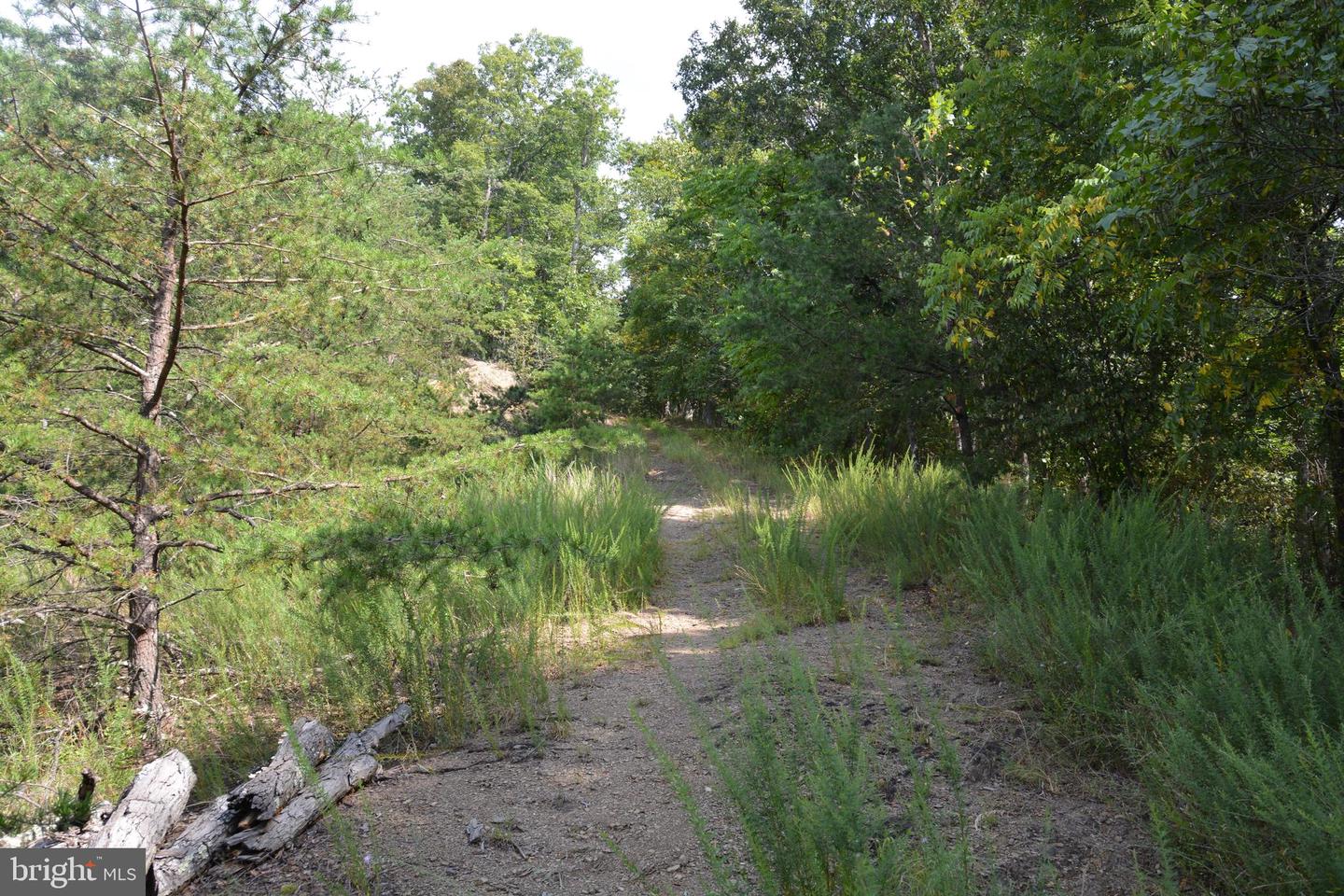 BRUSH CREEK RD #30+ ACRES, CROSS JUNCTION, Virginia 22625, ,Land,For sale,BRUSH CREEK RD #30+ ACRES,VAFV2036252 MLS # VAFV2036252