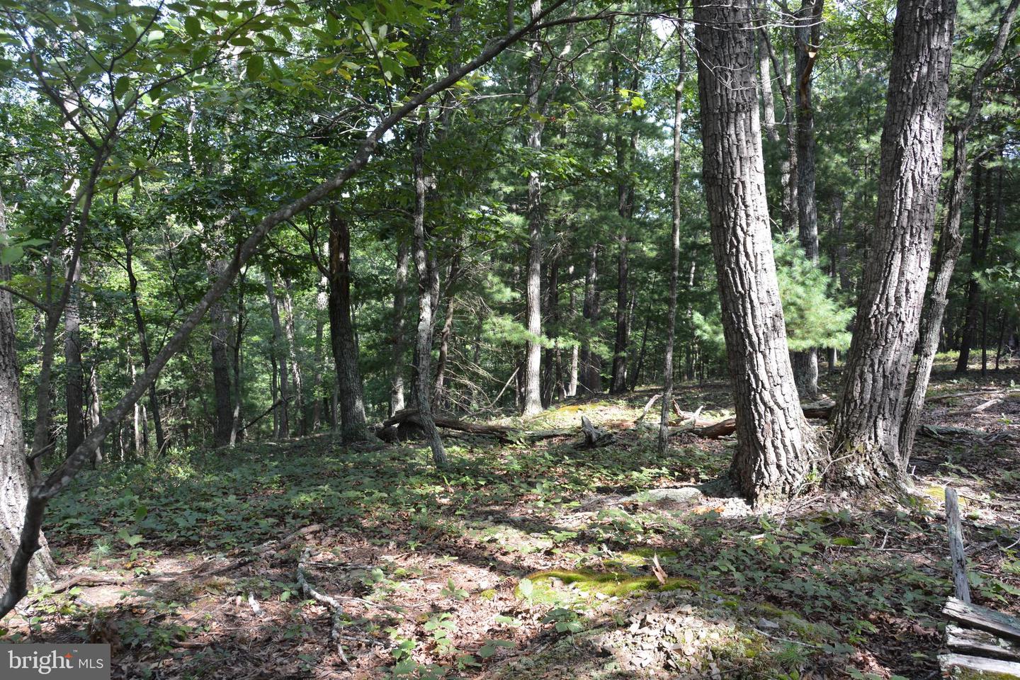 BRUSH CREEK RD #30+ ACRES, CROSS JUNCTION, Virginia 22625, ,Land,For sale,BRUSH CREEK RD #30+ ACRES,VAFV2036252 MLS # VAFV2036252