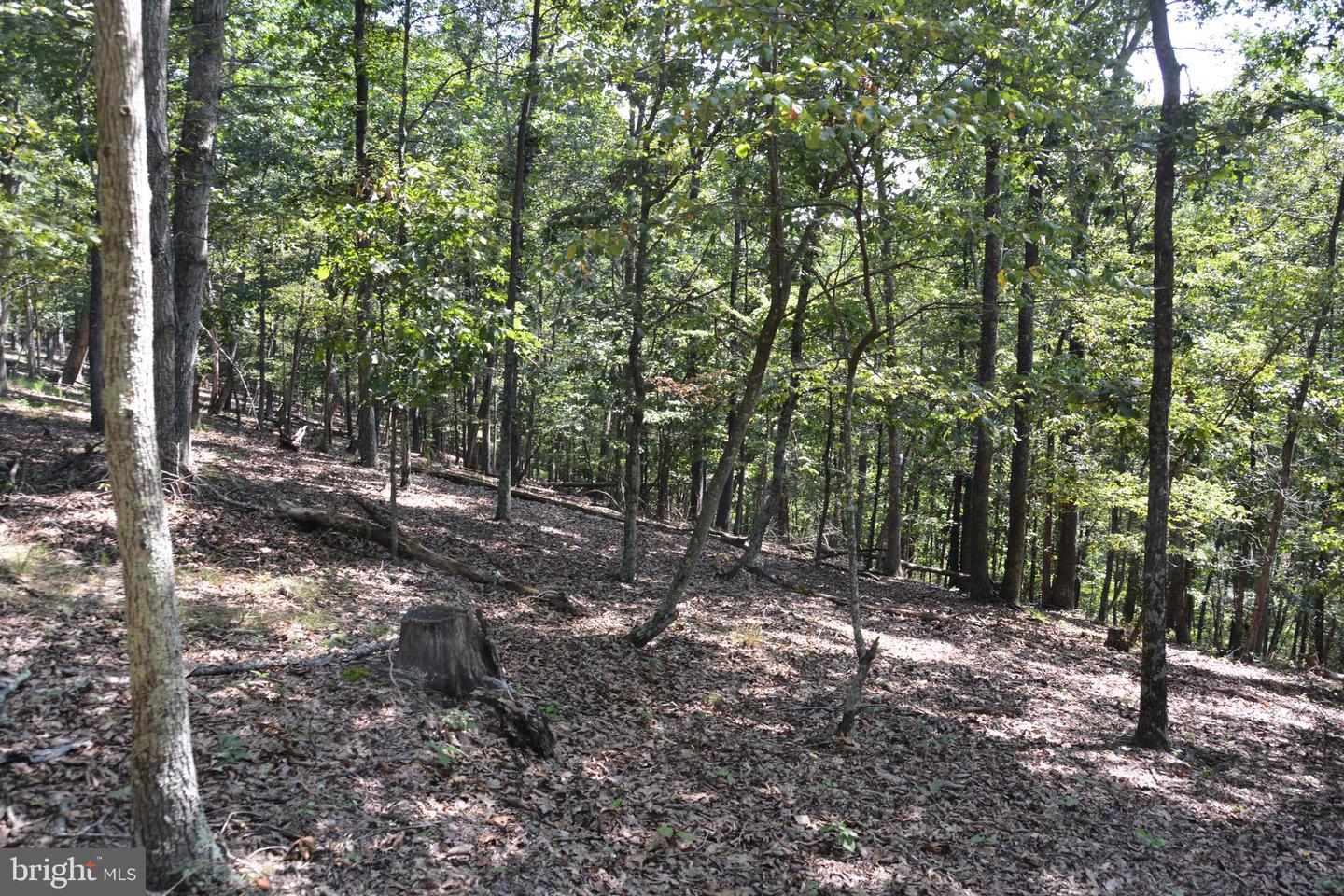 BRUSH CREEK RD #30+ ACRES, CROSS JUNCTION, Virginia 22625, ,Land,For sale,BRUSH CREEK RD #30+ ACRES,VAFV2036252 MLS # VAFV2036252