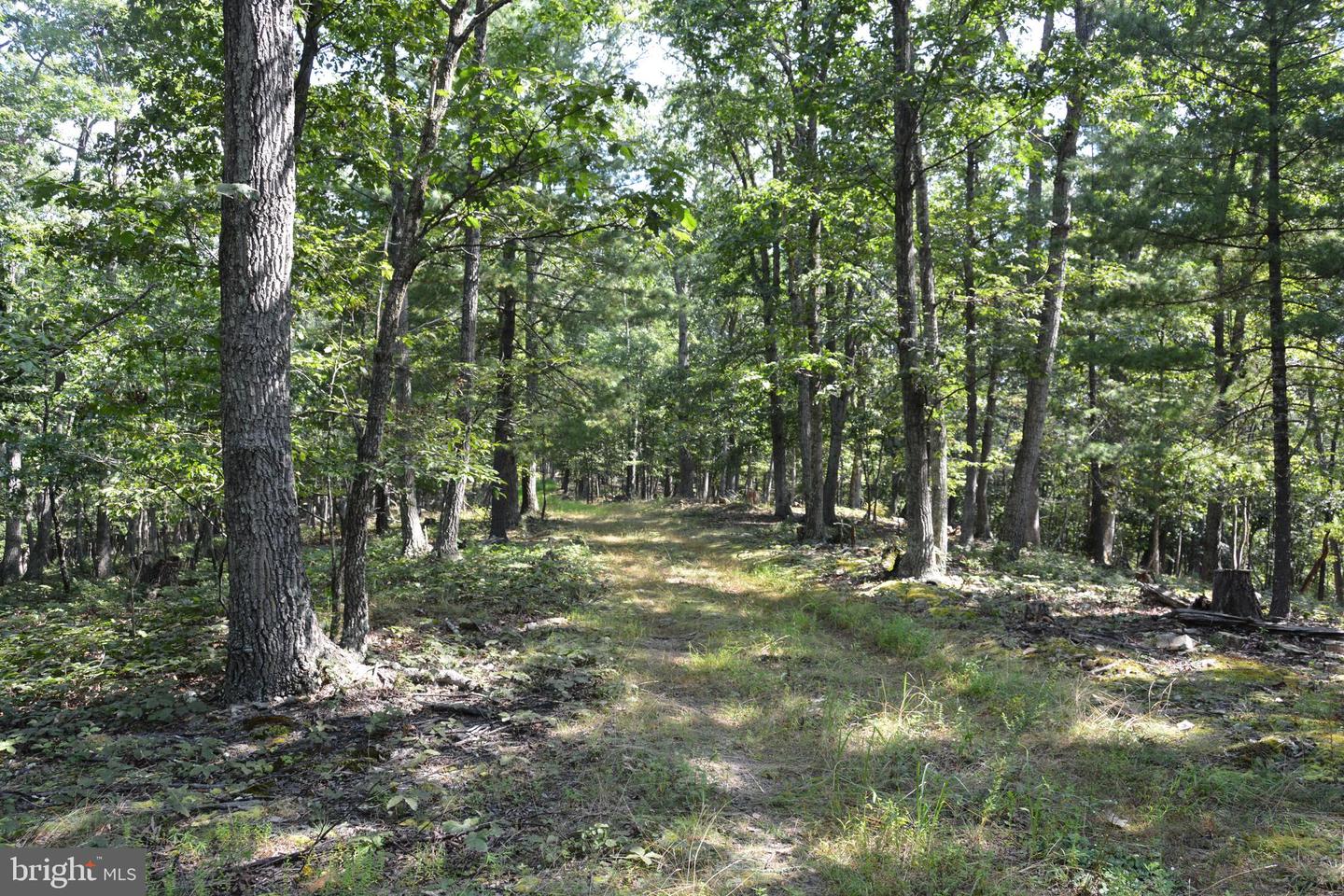 BRUSH CREEK RD #30+ ACRES, CROSS JUNCTION, Virginia 22625, ,Land,For sale,BRUSH CREEK RD #30+ ACRES,VAFV2036252 MLS # VAFV2036252