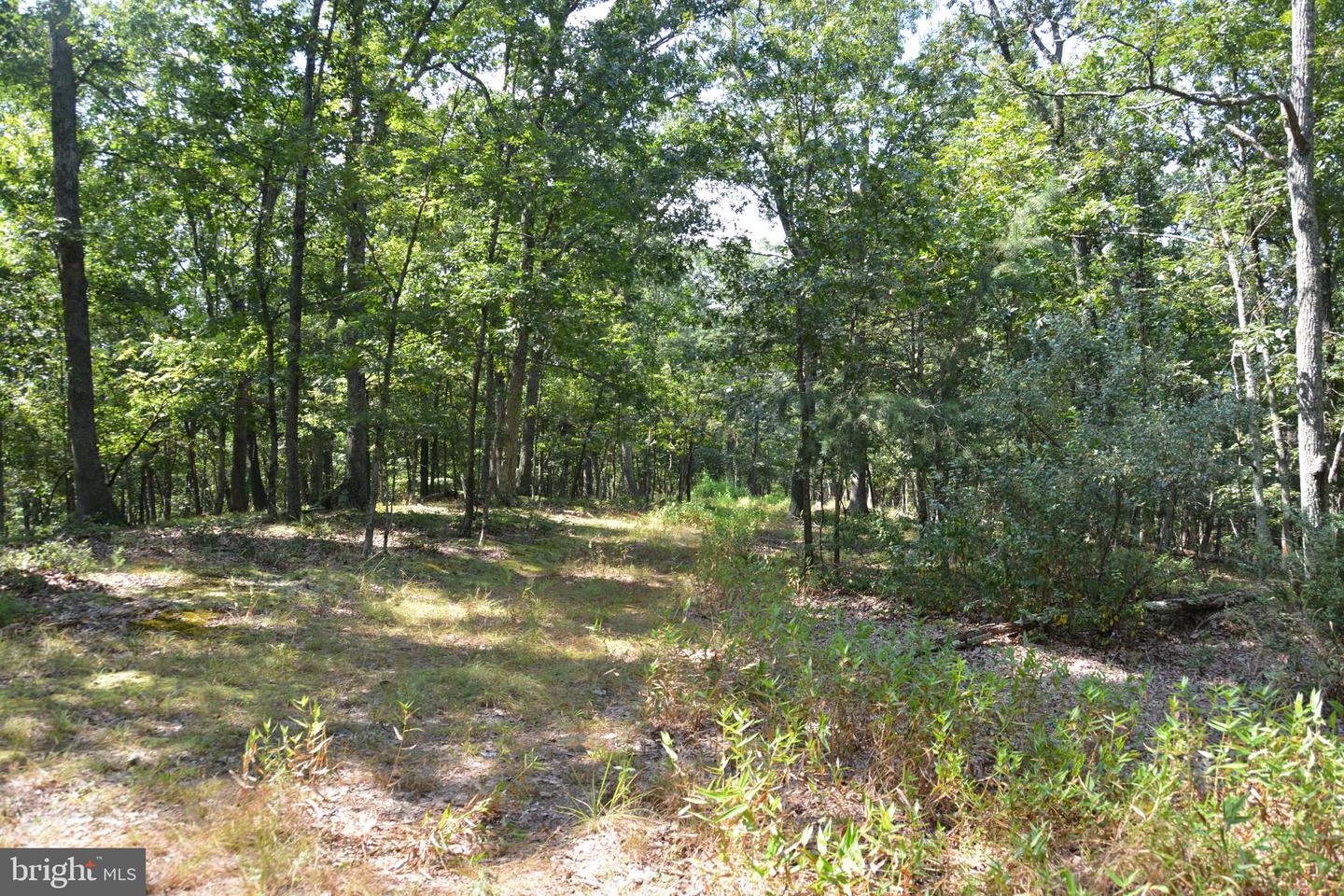 BRUSH CREEK RD #30+ ACRES, CROSS JUNCTION, Virginia 22625, ,Land,For sale,BRUSH CREEK RD #30+ ACRES,VAFV2036252 MLS # VAFV2036252