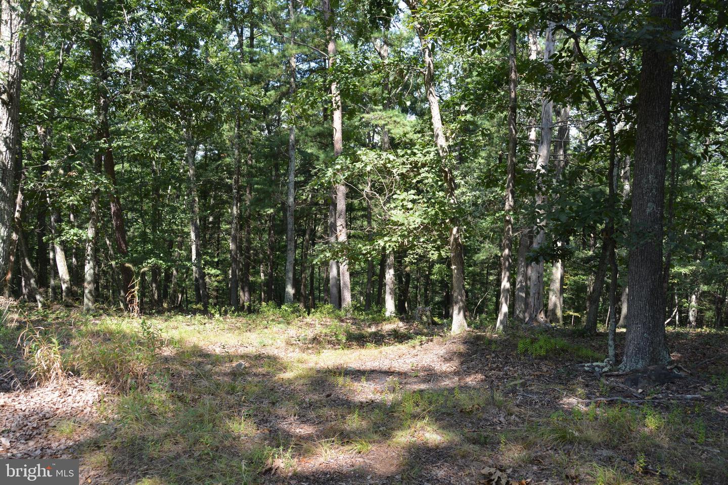 BRUSH CREEK RD #30+ ACRES, CROSS JUNCTION, Virginia 22625, ,Land,For sale,BRUSH CREEK RD #30+ ACRES,VAFV2036252 MLS # VAFV2036252