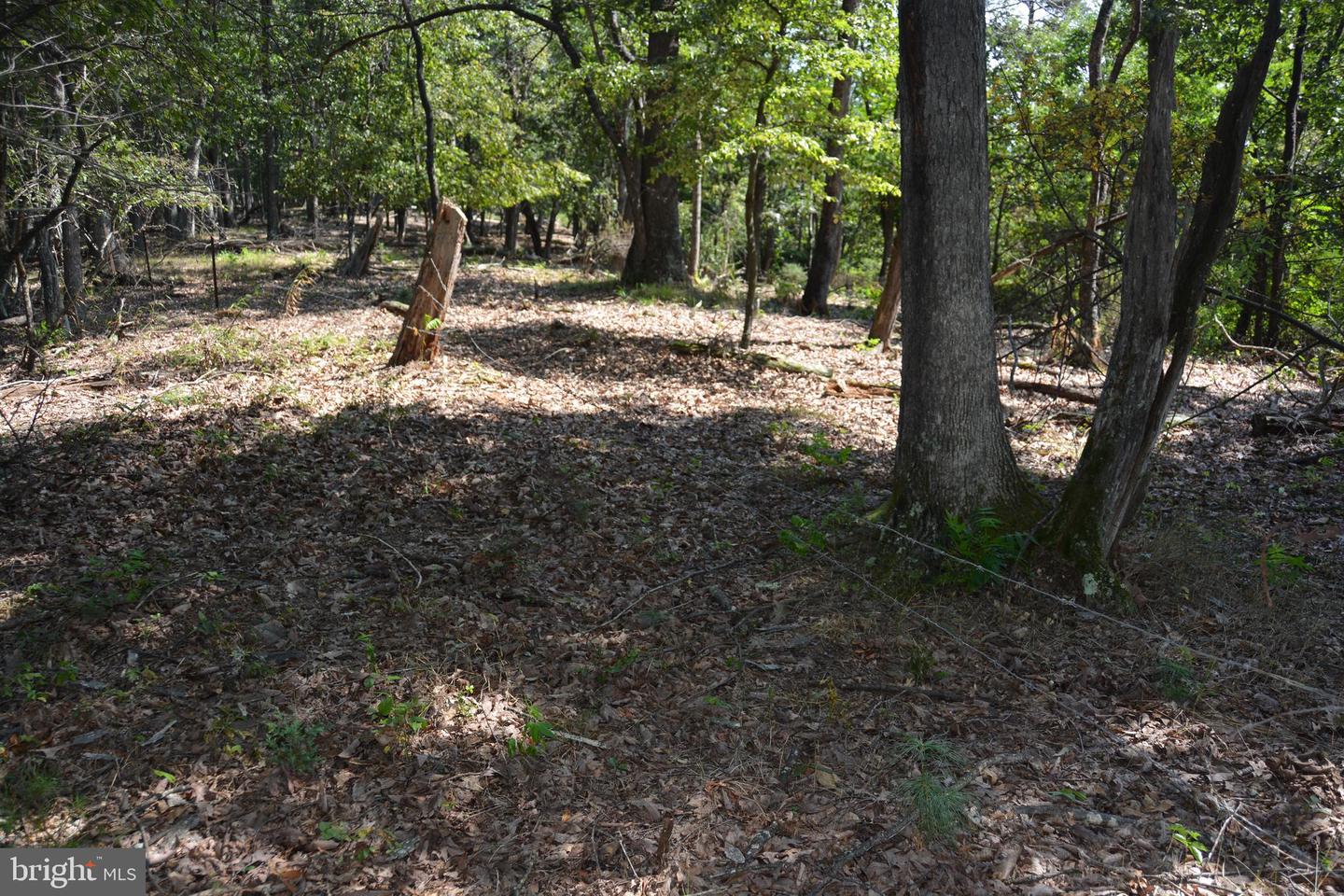 BRUSH CREEK RD #30+ ACRES, CROSS JUNCTION, Virginia 22625, ,Land,For sale,BRUSH CREEK RD #30+ ACRES,VAFV2036252 MLS # VAFV2036252