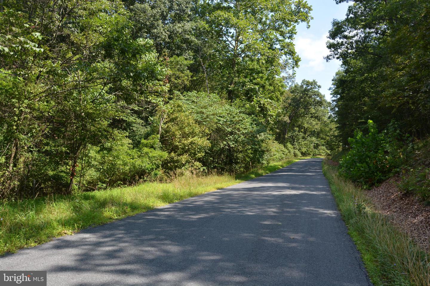BRUSH CREEK RD #30+ ACRES, CROSS JUNCTION, Virginia 22625, ,Land,For sale,BRUSH CREEK RD #30+ ACRES,VAFV2036252 MLS # VAFV2036252
