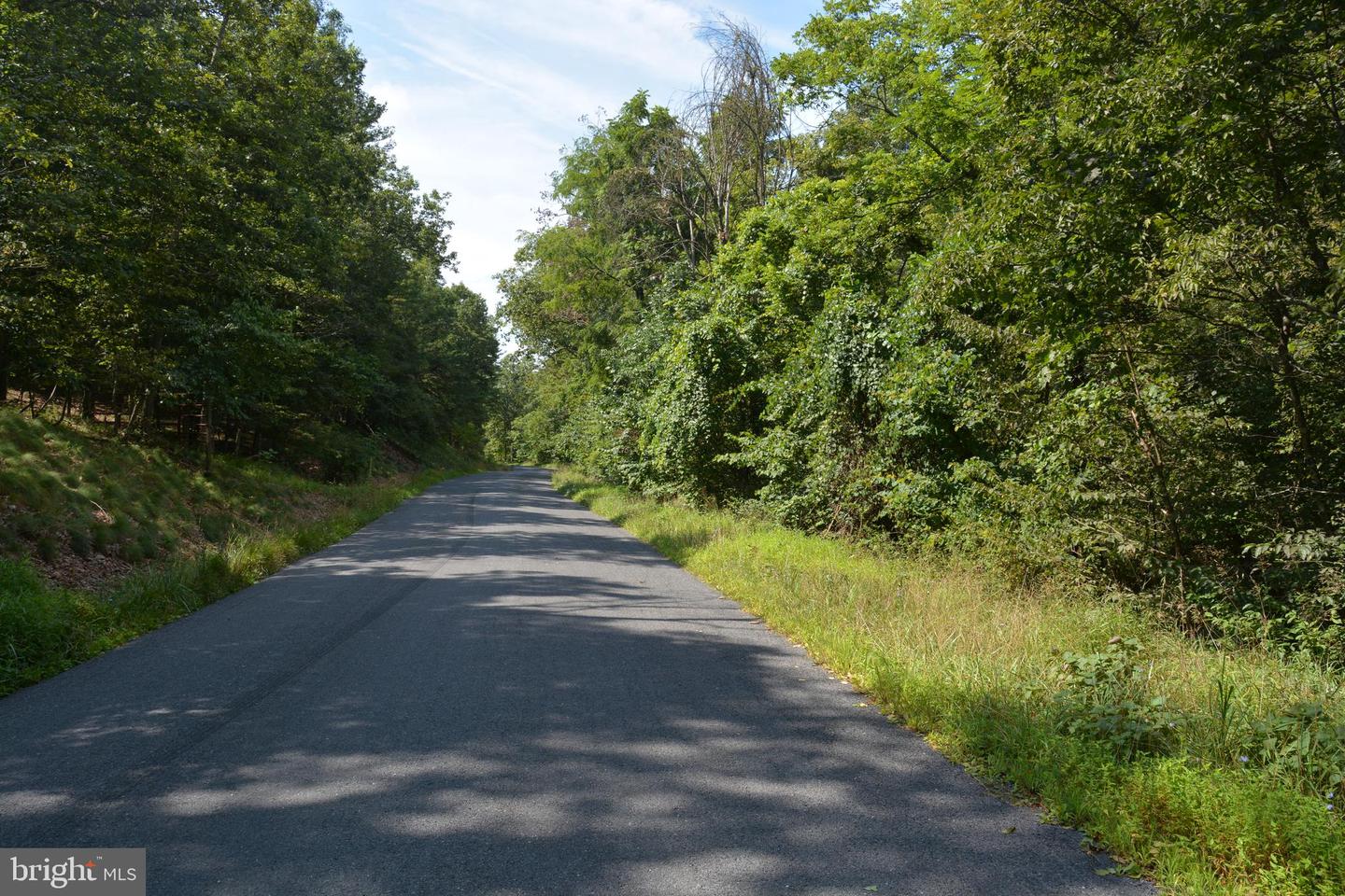BRUSH CREEK RD #30+ ACRES, CROSS JUNCTION, Virginia 22625, ,Land,For sale,BRUSH CREEK RD #30+ ACRES,VAFV2036252 MLS # VAFV2036252