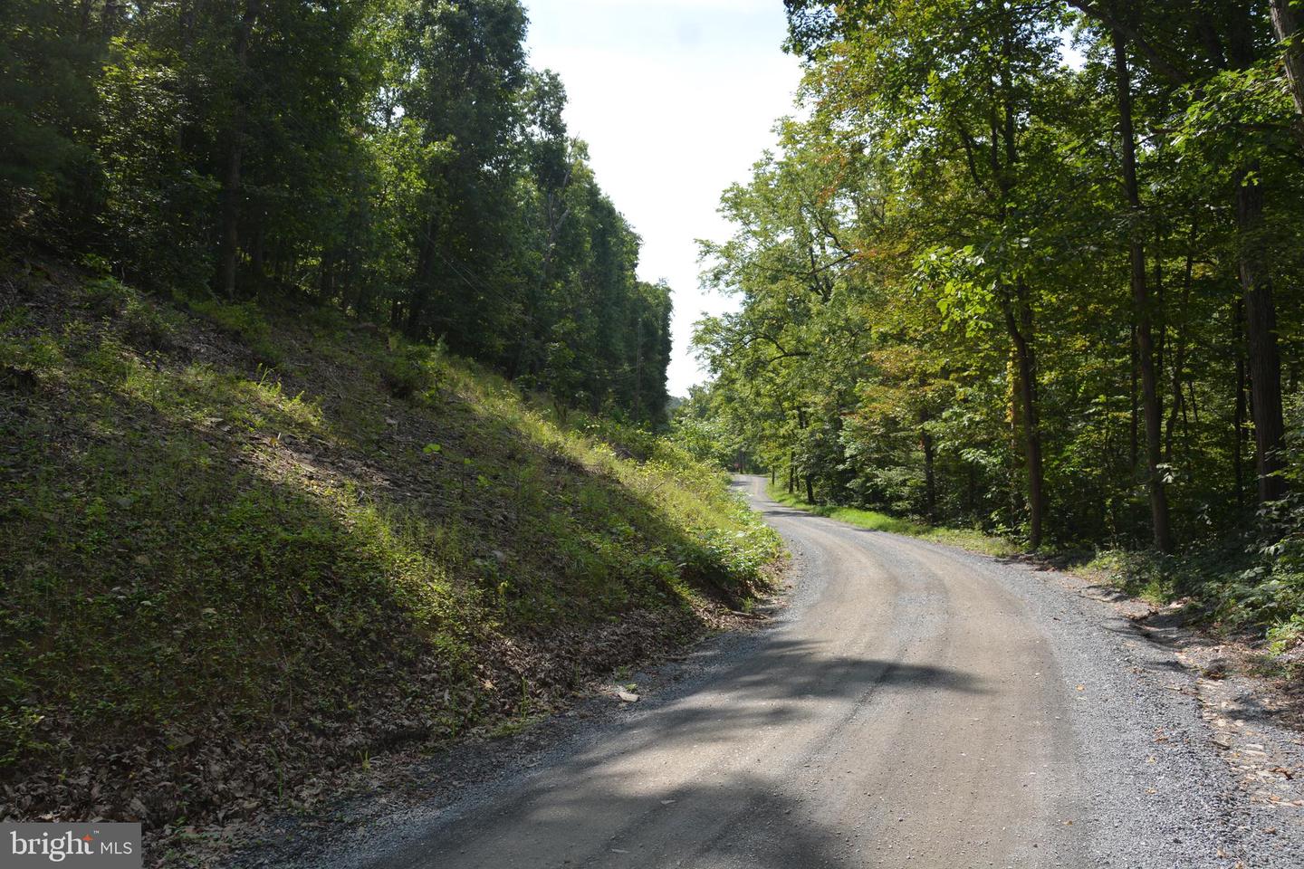 BRUSH CREEK RD #30+ ACRES, CROSS JUNCTION, Virginia 22625, ,Land,For sale,BRUSH CREEK RD #30+ ACRES,VAFV2036252 MLS # VAFV2036252