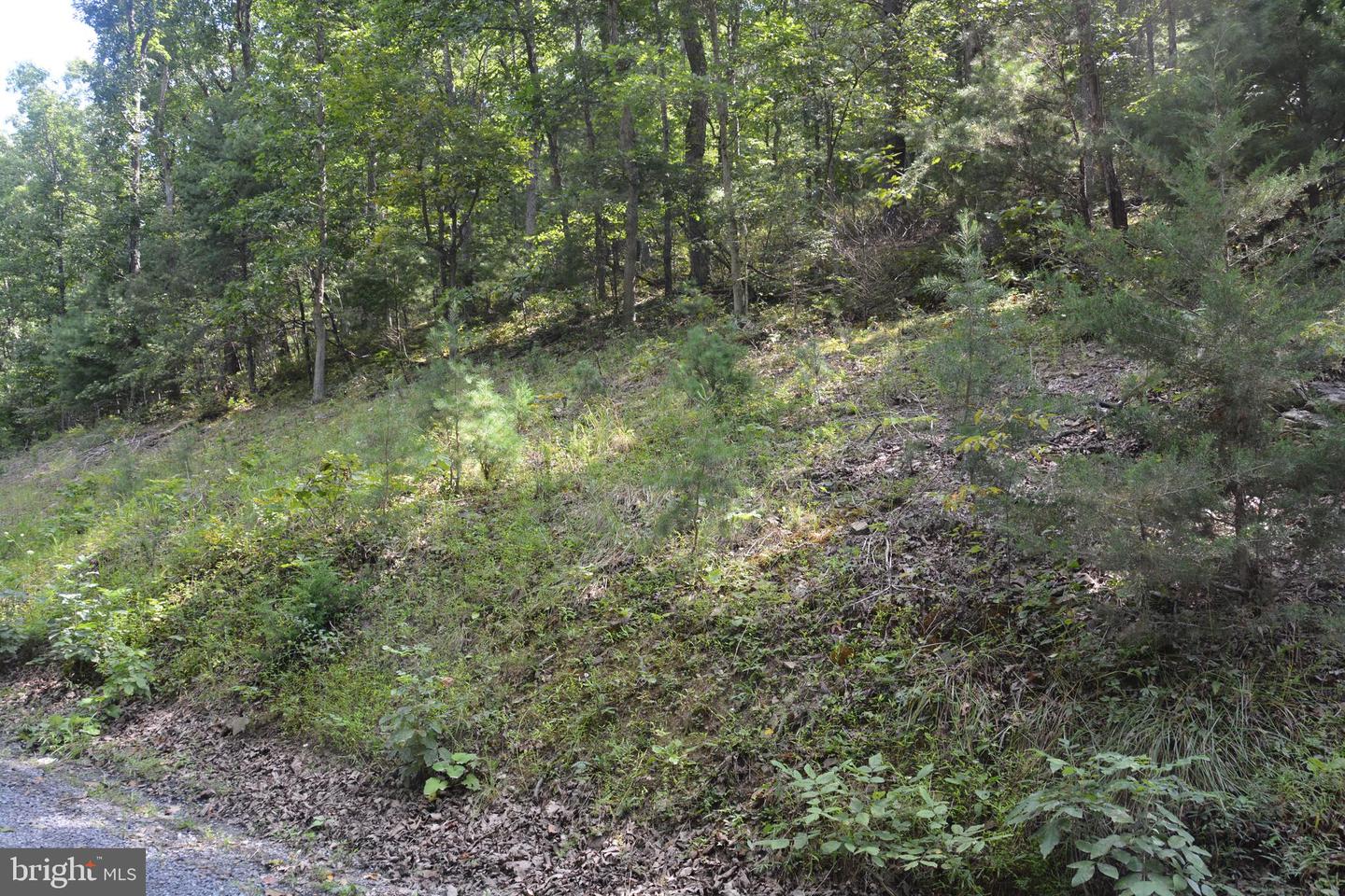 BRUSH CREEK RD #30+ ACRES, CROSS JUNCTION, Virginia 22625, ,Land,For sale,BRUSH CREEK RD #30+ ACRES,VAFV2036252 MLS # VAFV2036252