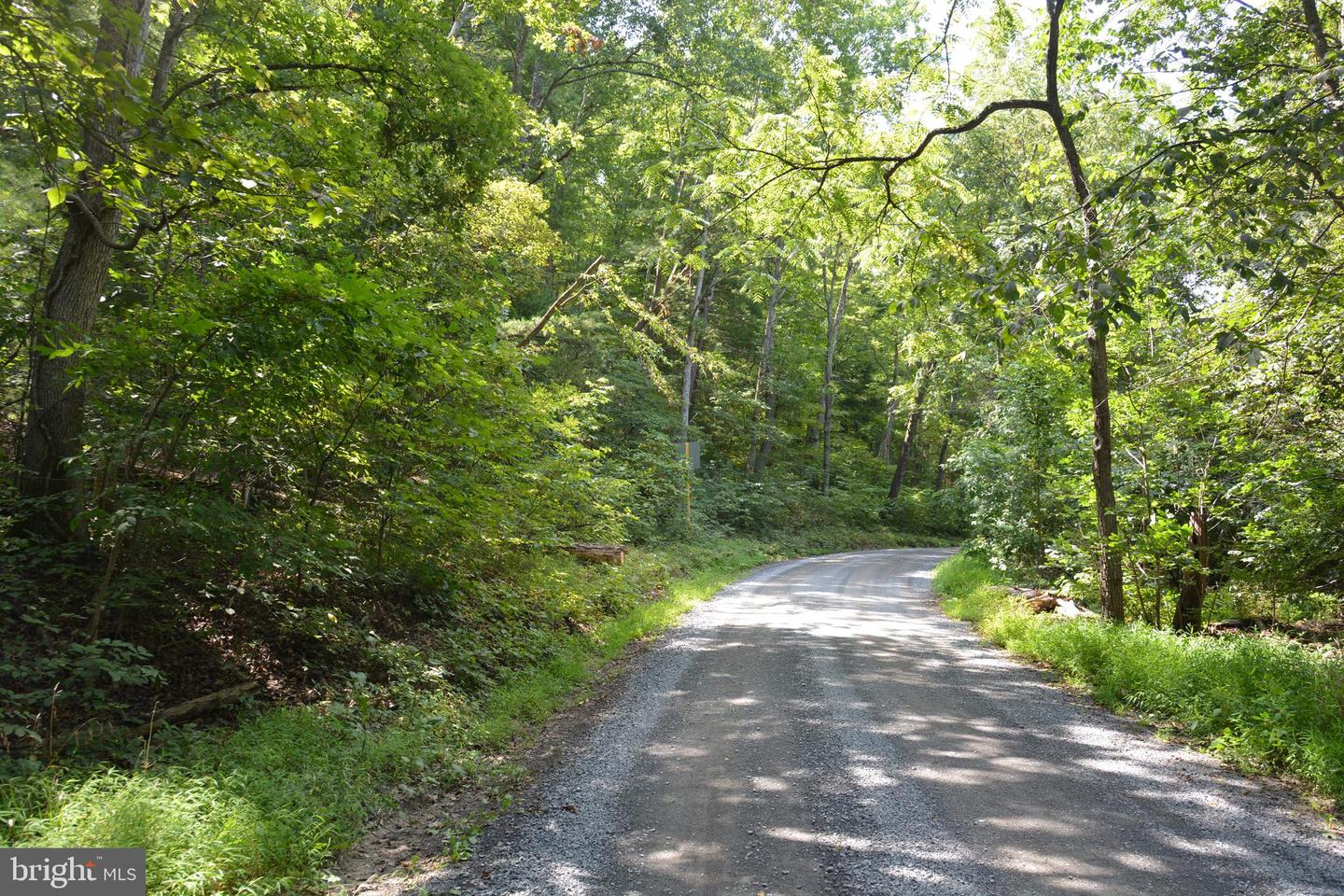 BRUSH CREEK RD #30+ ACRES, CROSS JUNCTION, Virginia 22625, ,Land,For sale,BRUSH CREEK RD #30+ ACRES,VAFV2036252 MLS # VAFV2036252