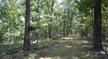 BRUSH CREEK RD #30+ ACRES, CROSS JUNCTION, Virginia 22625, ,Land,For sale,BRUSH CREEK RD #30+ ACRES,VAFV2036252 MLS # VAFV2036252