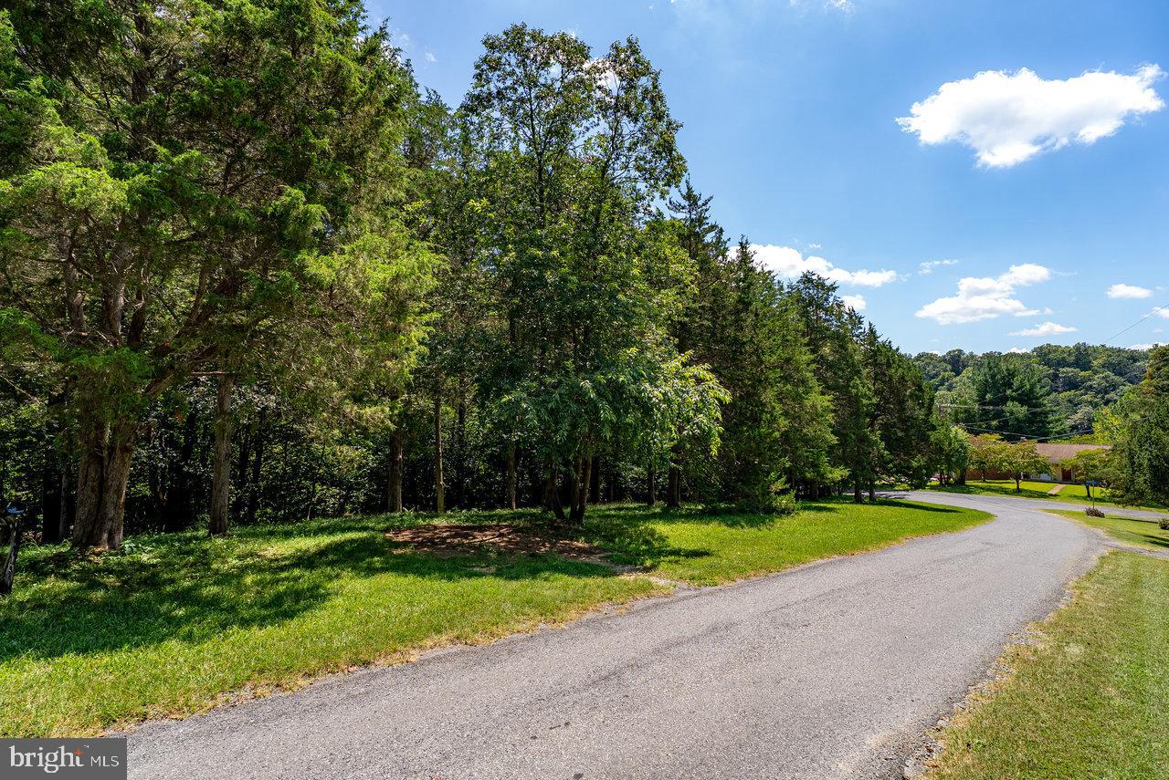 606 RIVERSIDE DR, LURAY, Virginia 22835, 1 Bedroom Bedrooms, ,1 BathroomBathrooms,Residential,For sale,606 RIVERSIDE DR,VAPA2005272 MLS # VAPA2005272
