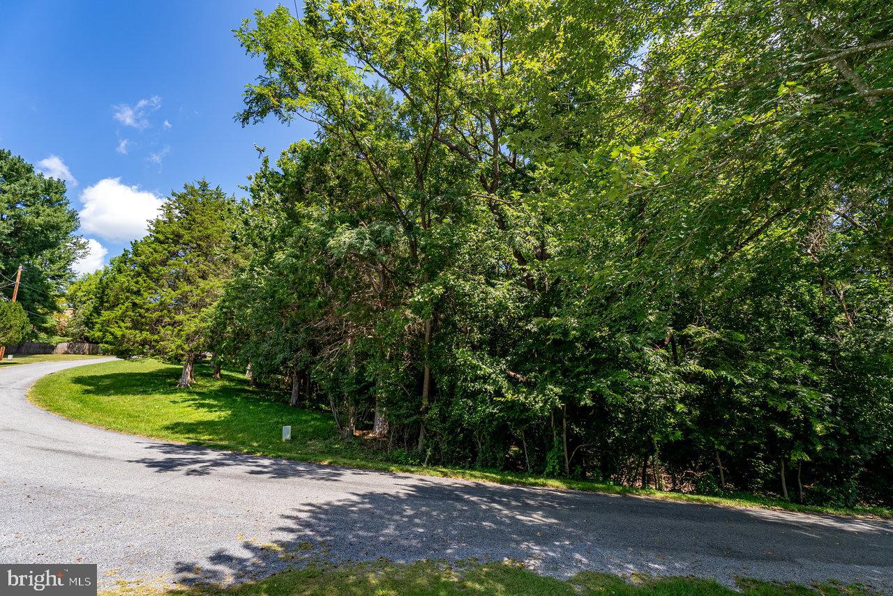 606 RIVERSIDE DR, LURAY, Virginia 22835, 1 Bedroom Bedrooms, ,1 BathroomBathrooms,Residential,For sale,606 RIVERSIDE DR,VAPA2005272 MLS # VAPA2005272