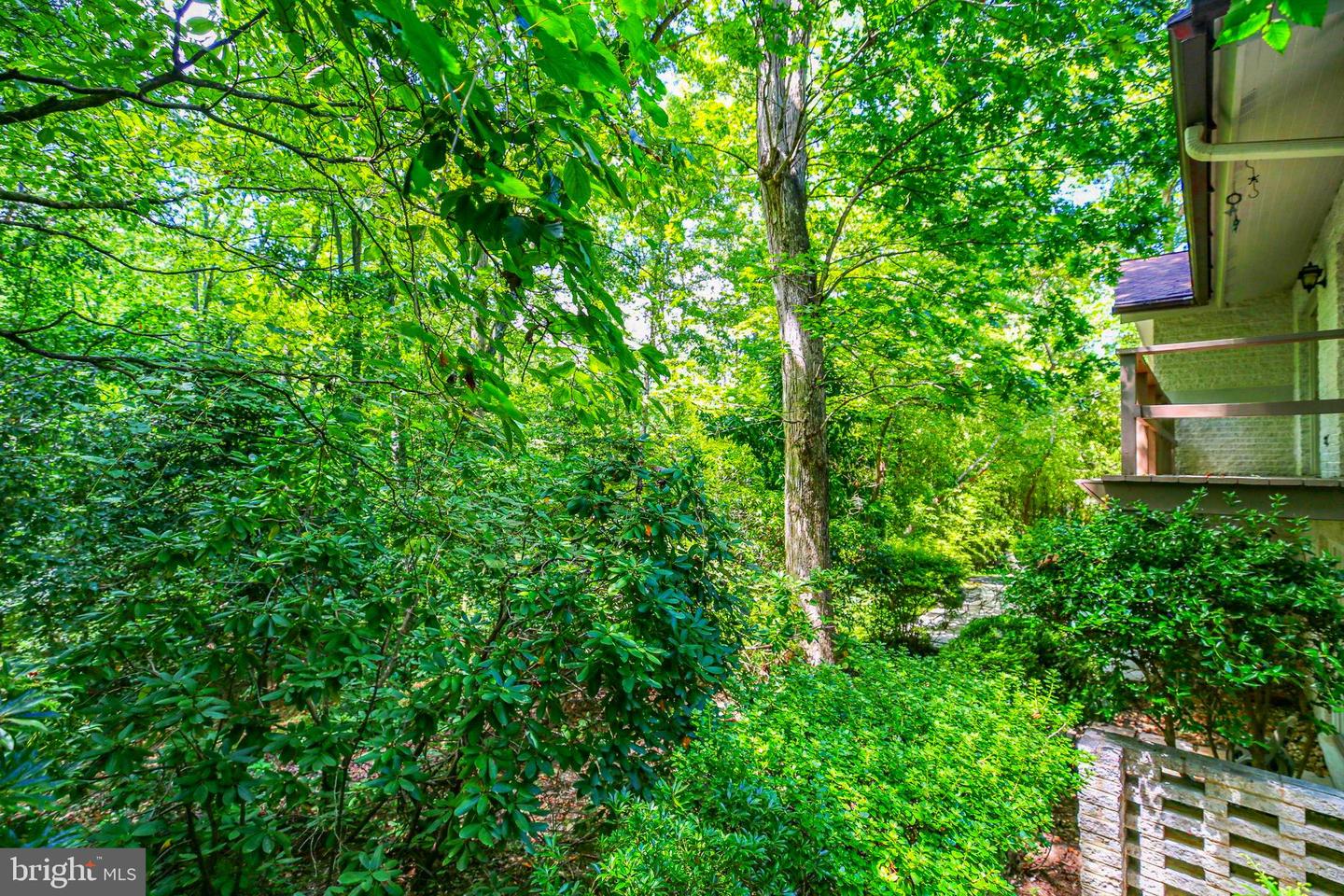 109 GOODLOE DR, FREDERICKSBURG, Virginia 22401, 4 Bedrooms Bedrooms, ,3 BathroomsBathrooms,Residential,For sale,109 GOODLOE DR,VAFB2008806 MLS # VAFB2008806