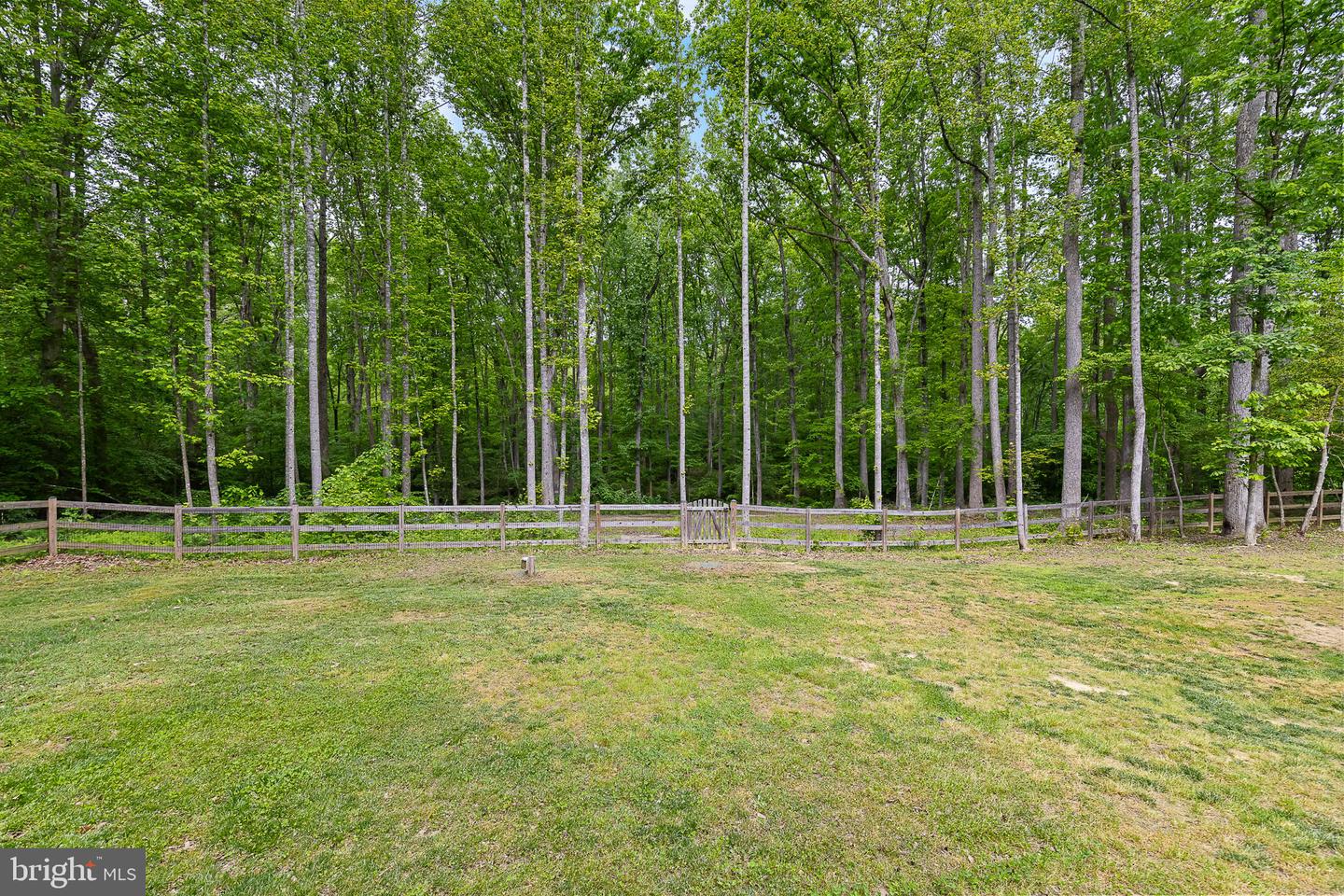 10516 PINEY BRANCH RD, SPOTSYLVANIA, Virginia 22553, 4 Bedrooms Bedrooms, ,2 BathroomsBathrooms,Residential,For sale,10516 PINEY BRANCH RD,VASP2035508 MLS # VASP2035508