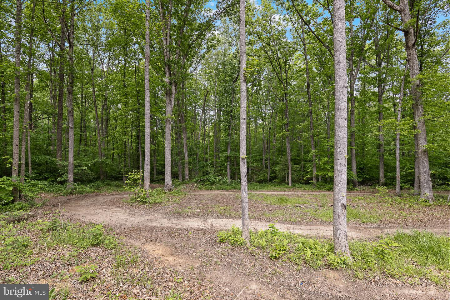 10516 PINEY BRANCH RD, SPOTSYLVANIA, Virginia 22553, 4 Bedrooms Bedrooms, ,2 BathroomsBathrooms,Residential,For sale,10516 PINEY BRANCH RD,VASP2035508 MLS # VASP2035508