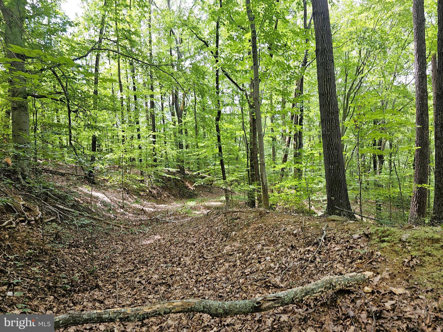 GAAR MOUNTAIN RD, MADISON, Virginia 22727, ,Land,For sale,GAAR MOUNTAIN RD,VAMA2002360 MLS # VAMA2002360