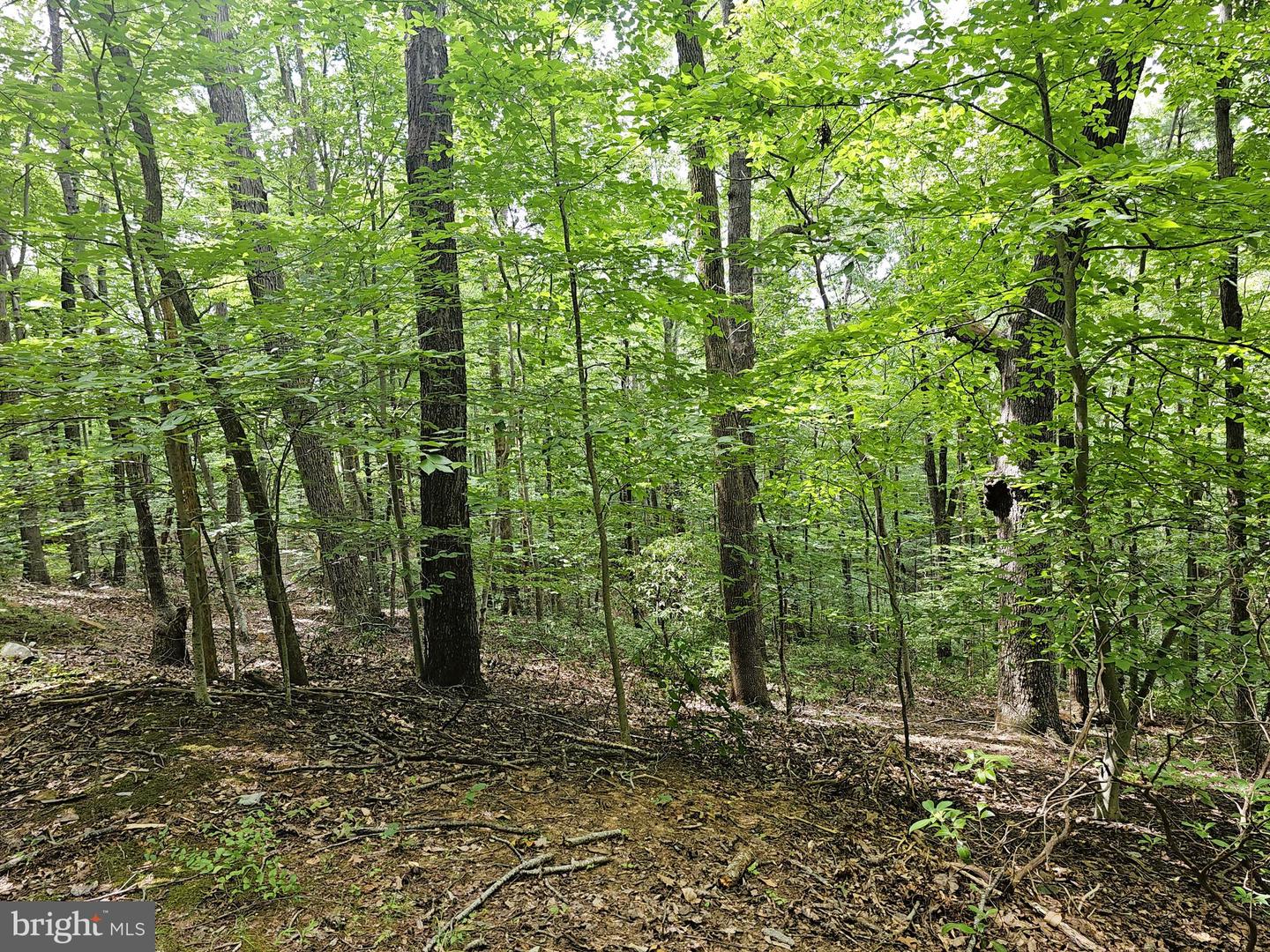 GAAR MOUNTAIN RD, MADISON, Virginia 22727, ,Land,For sale,GAAR MOUNTAIN RD,VAMA2002360 MLS # VAMA2002360