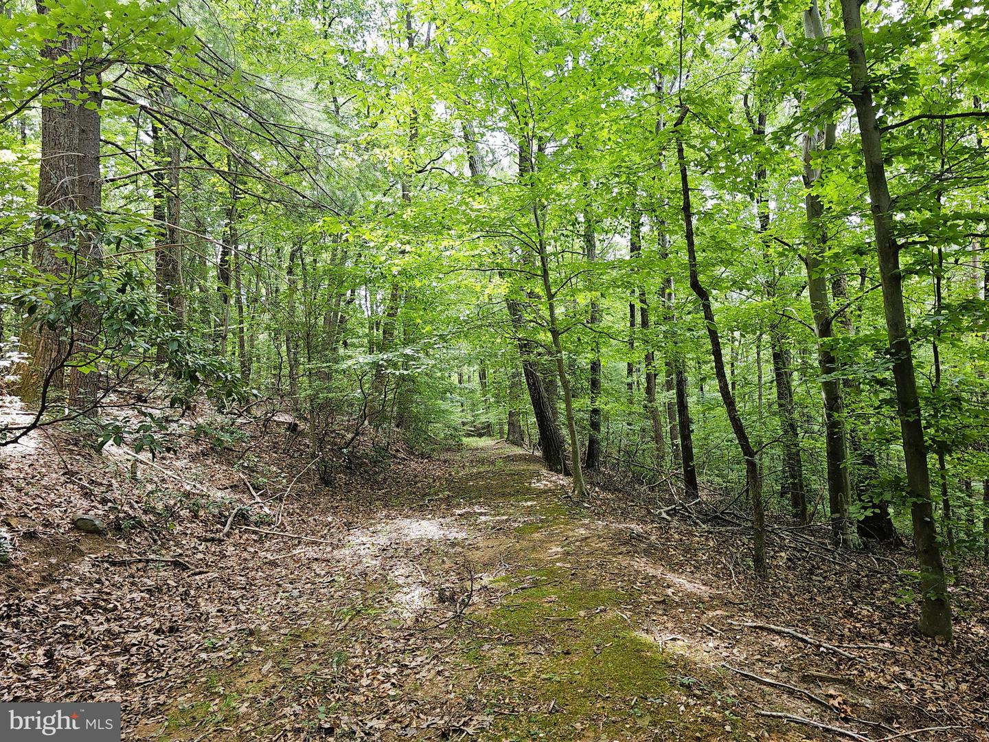 GAAR MOUNTAIN RD, MADISON, Virginia 22727, ,Land,For sale,GAAR MOUNTAIN RD,VAMA2002360 MLS # VAMA2002360