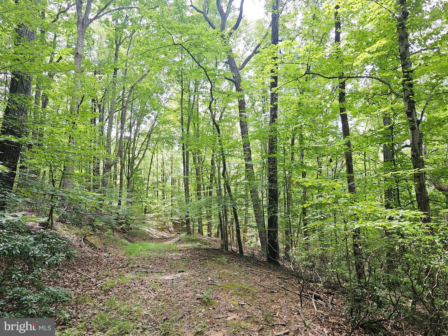 GAAR MOUNTAIN RD, MADISON, Virginia 22727, ,Land,For sale,GAAR MOUNTAIN RD,VAMA2002360 MLS # VAMA2002360