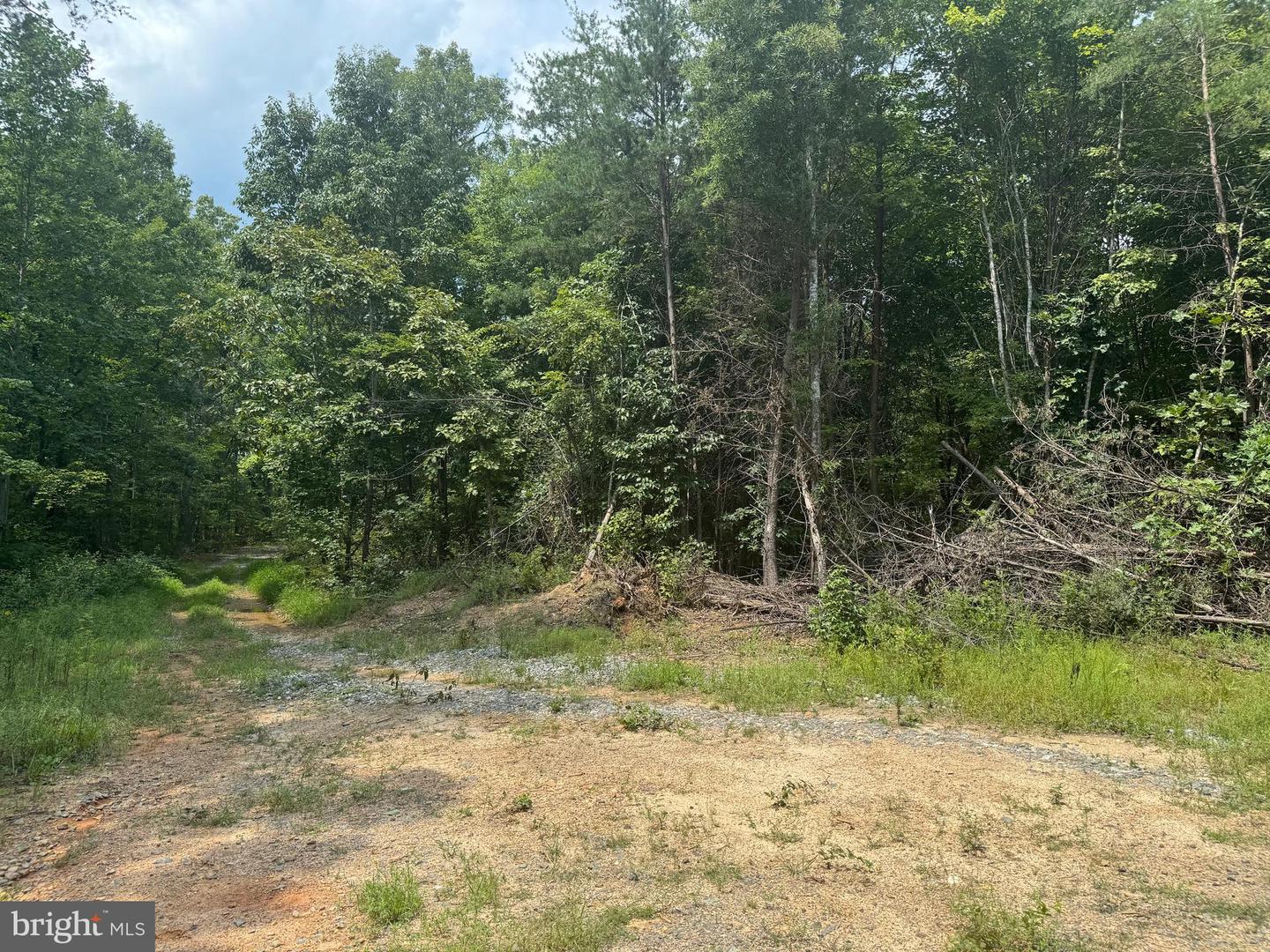 LOT 3 BUCKNER RD, MINERAL, Virginia 23117, ,Land,For sale,LOT 3 BUCKNER RD,VALA2008448 MLS # VALA2008448