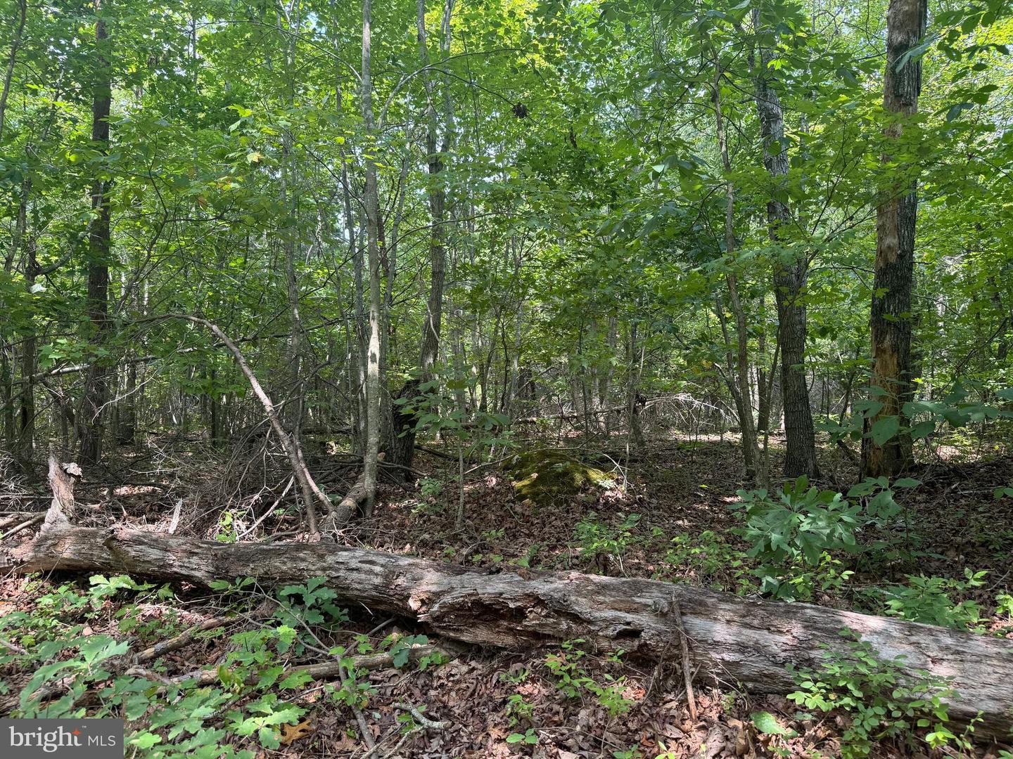 LOT 3 BUCKNER RD, MINERAL, Virginia 23117, ,Land,For sale,LOT 3 BUCKNER RD,VALA2008448 MLS # VALA2008448