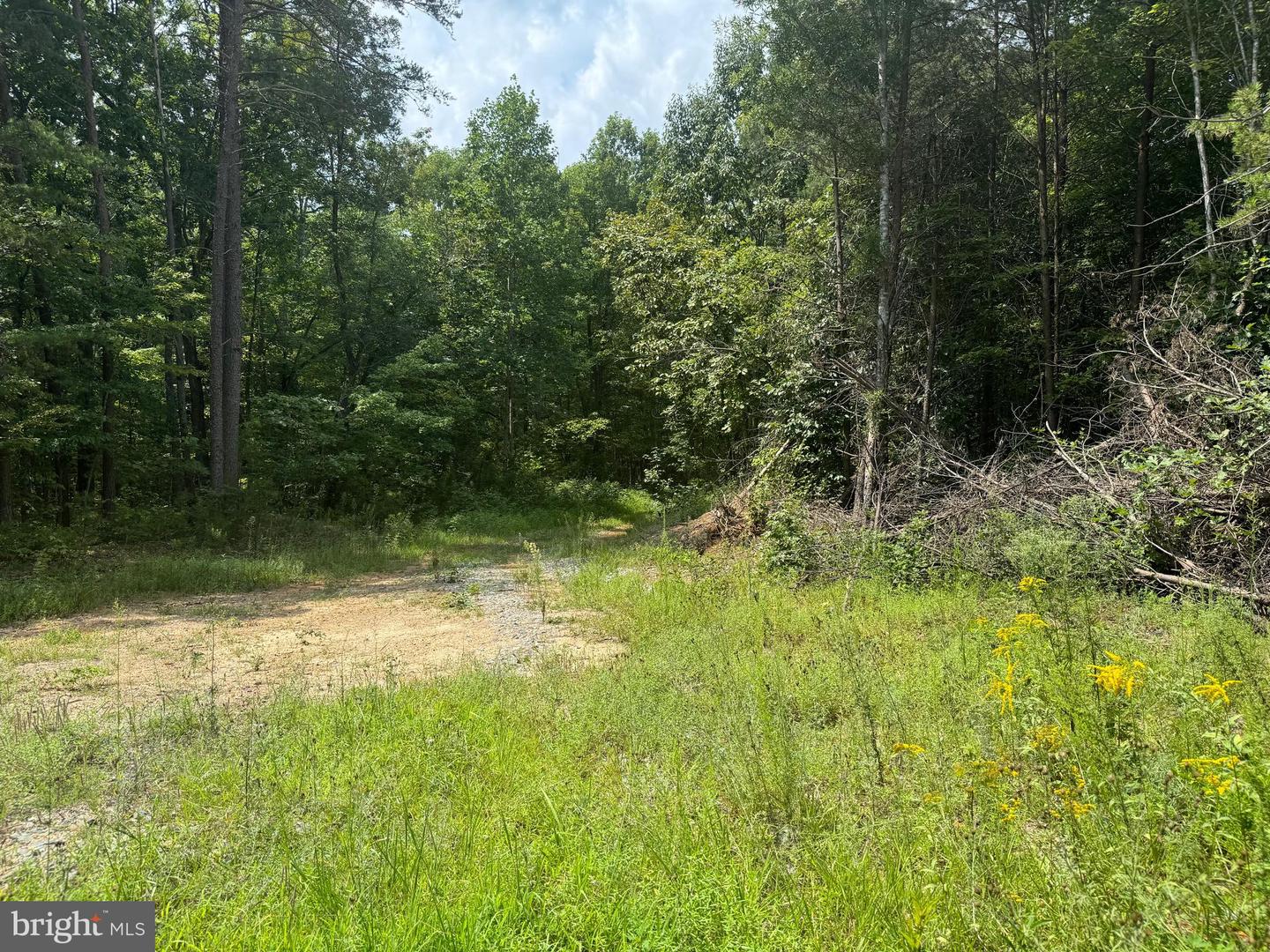 LOT 3 BUCKNER RD, MINERAL, Virginia 23117, ,Land,For sale,LOT 3 BUCKNER RD,VALA2008448 MLS # VALA2008448