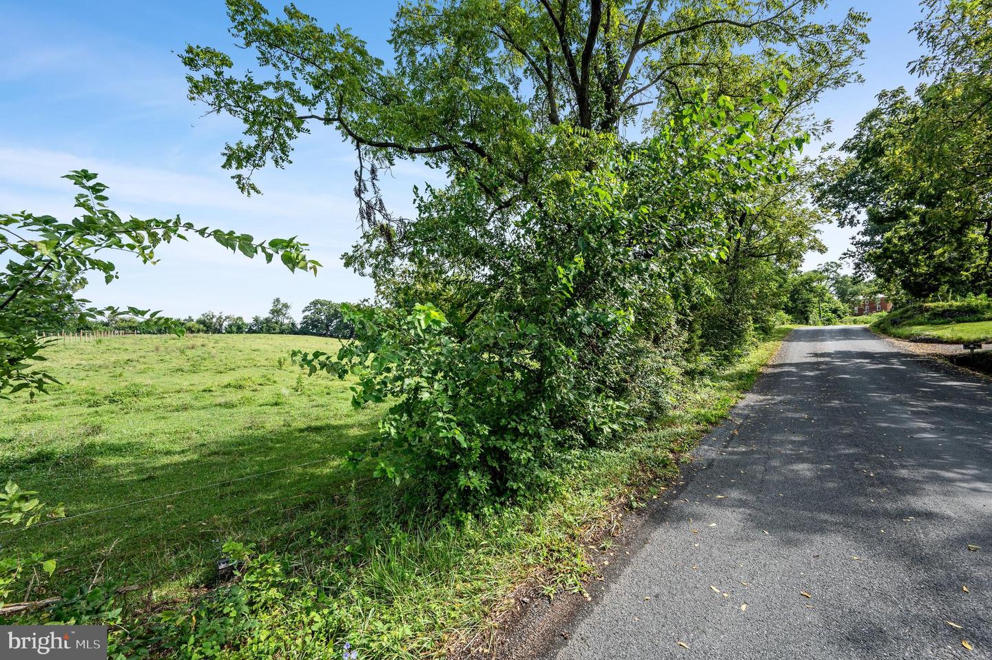 CARTERS LN, STEPHENS CITY, Virginia 22655, ,Land,For sale,CARTERS LN,VAFV2036256 MLS # VAFV2036256