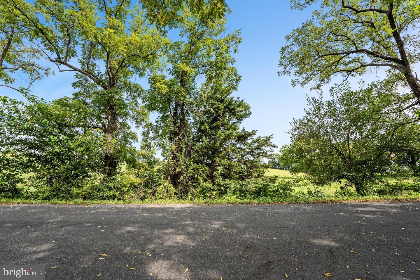 CARTERS LN, STEPHENS CITY, Virginia 22655, ,Land,For sale,CARTERS LN,VAFV2036256 MLS # VAFV2036256