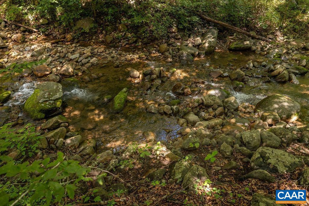 2530 BEECH GROVE RD, ROSELAND, Virginia 22967, ,Land,For sale,2530 BEECH GROVE RD,668021 MLS # 668021