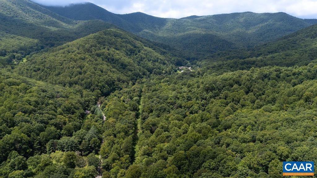 2530 BEECH GROVE RD, ROSELAND, Virginia 22967, ,Land,For sale,2530 BEECH GROVE RD,668021 MLS # 668021