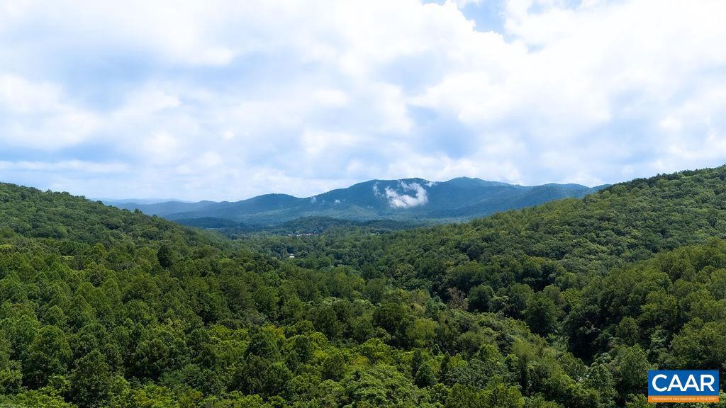 2530 BEECH GROVE RD, ROSELAND, Virginia 22967, ,Land,For sale,2530 BEECH GROVE RD,668021 MLS # 668021