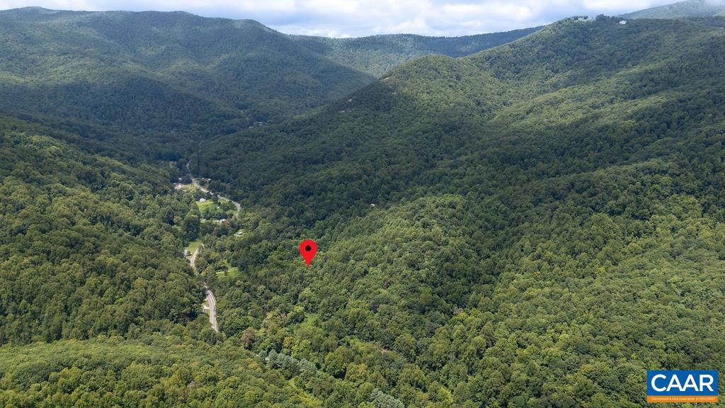 2530 BEECH GROVE RD, ROSELAND, Virginia 22967, ,Land,For sale,2530 BEECH GROVE RD,668021 MLS # 668021