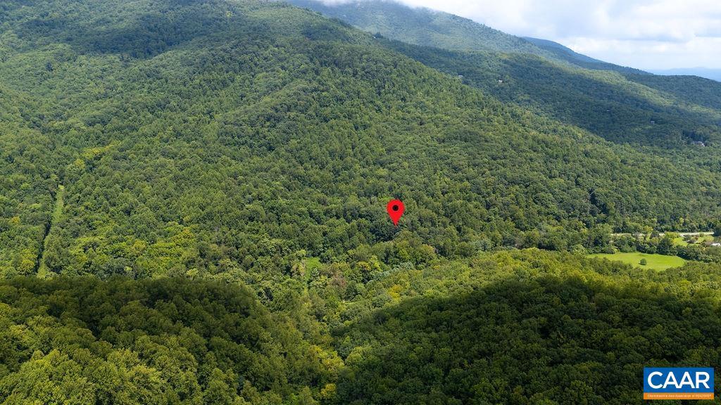 2530 BEECH GROVE RD, ROSELAND, Virginia 22967, ,Land,For sale,2530 BEECH GROVE RD,668021 MLS # 668021