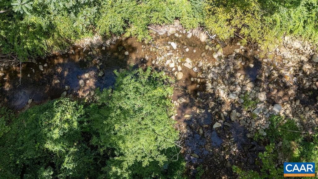 2530 BEECH GROVE RD, ROSELAND, Virginia 22967, ,Land,For sale,2530 BEECH GROVE RD,668021 MLS # 668021