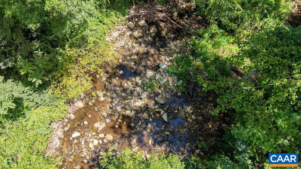 2530 BEECH GROVE RD, ROSELAND, Virginia 22967, ,Land,For sale,2530 BEECH GROVE RD,668021 MLS # 668021