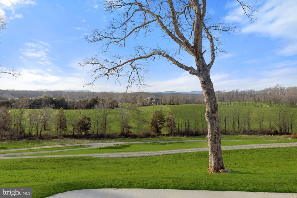 7039 SILK, JEFFERSONTON, Virginia 22724, 6 Bedrooms Bedrooms, ,4 BathroomsBathrooms,Residential,7039 SILK,VACU2009822 MLS # VACU2009822