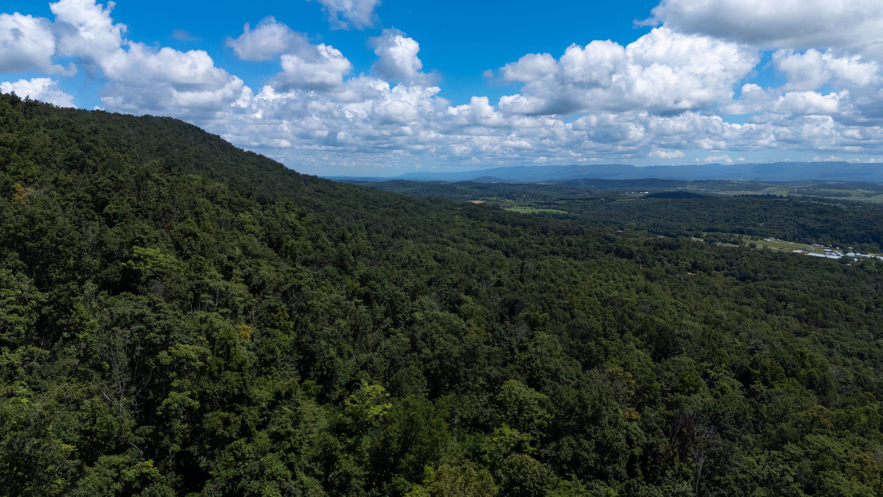 0 MOUNTAIN TOP LN, BROADWAY, Virginia 22815, ,Land,0 MOUNTAIN TOP LN,668038 MLS # 668038