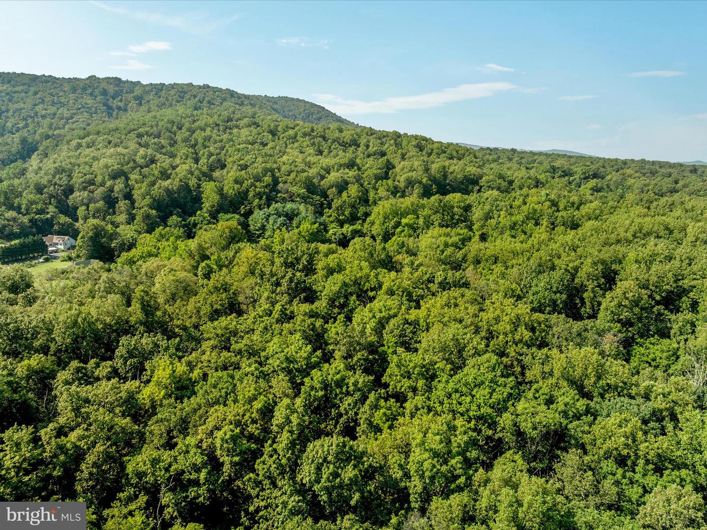 BROWNTOWN RD, FRONT ROYAL, Virginia 22630, ,Land,For sale,BROWNTOWN RD,VAWR2012026 MLS # VAWR2012026