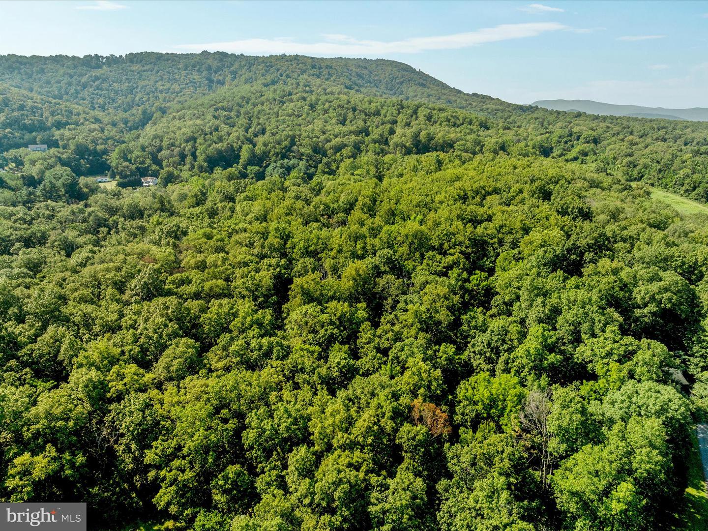 BROWNTOWN RD, FRONT ROYAL, Virginia 22630, ,Land,For sale,BROWNTOWN RD,VAWR2012026 MLS # VAWR2012026