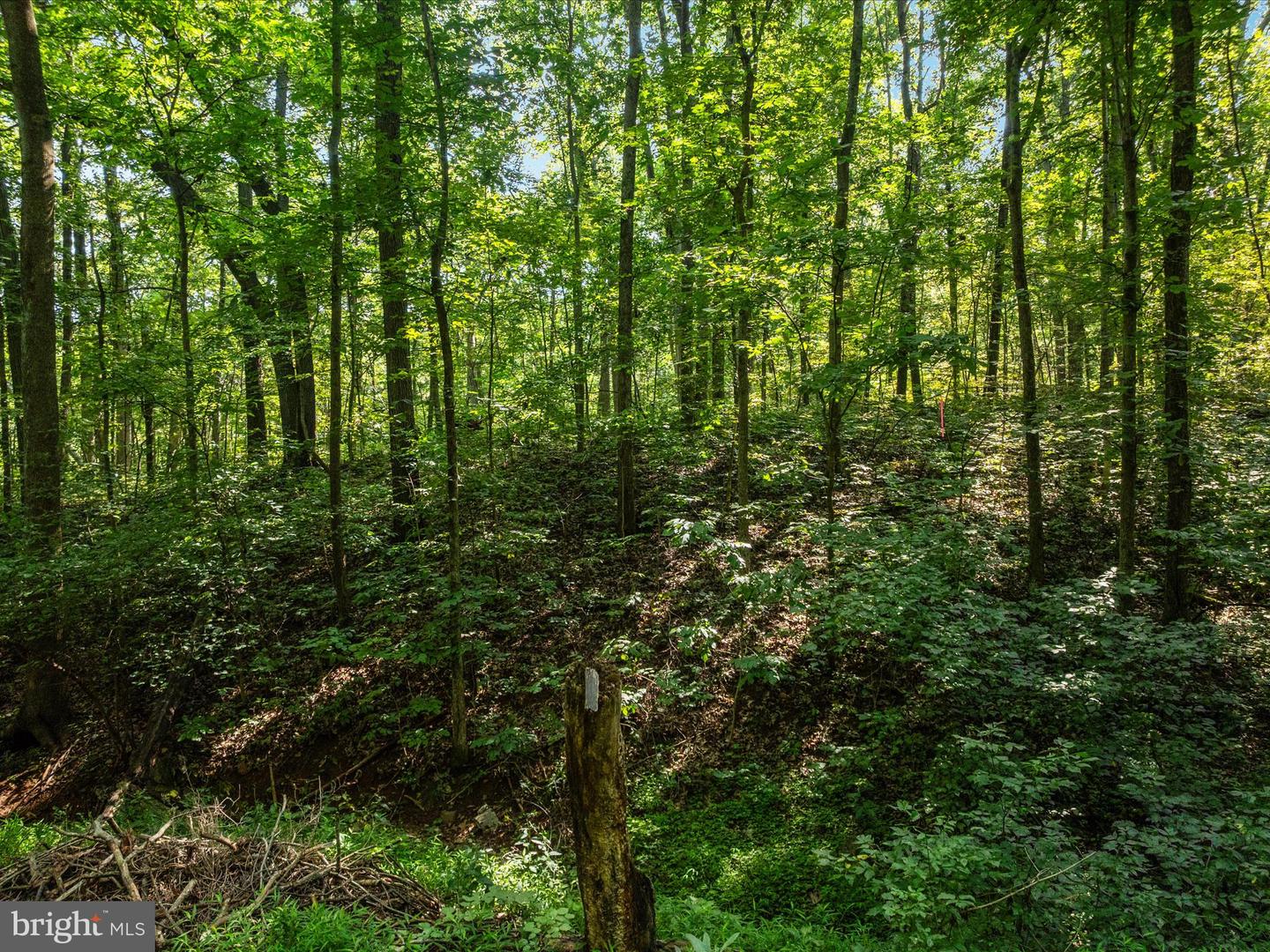 BROWNTOWN RD, FRONT ROYAL, Virginia 22630, ,Land,For sale,BROWNTOWN RD,VAWR2012026 MLS # VAWR2012026