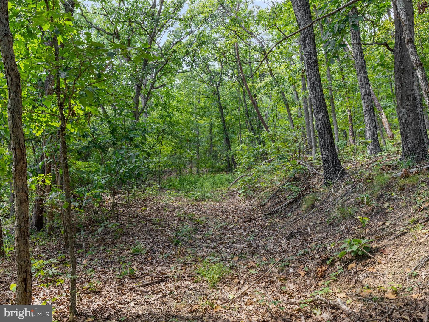 0 FORT VALLEY, LURAY, Virginia 22835, ,Land,For sale,0 FORT VALLEY,VAPA2005276 MLS # VAPA2005276 0 FORT VALLEY, LURAY, Virginia 22835, ,Land,For sale,0 FORT VALLEY,VAPA2005276 MLS # VAPA2005276