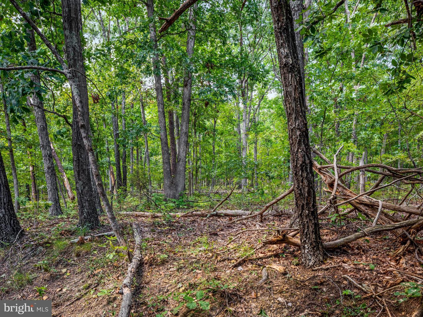 0 FORT VALLEY, LURAY, Virginia 22835, ,Land,For sale,0 FORT VALLEY,VAPA2005276 MLS # VAPA2005276 0 FORT VALLEY, LURAY, Virginia 22835, ,Land,For sale,0 FORT VALLEY,VAPA2005276 MLS # VAPA2005276