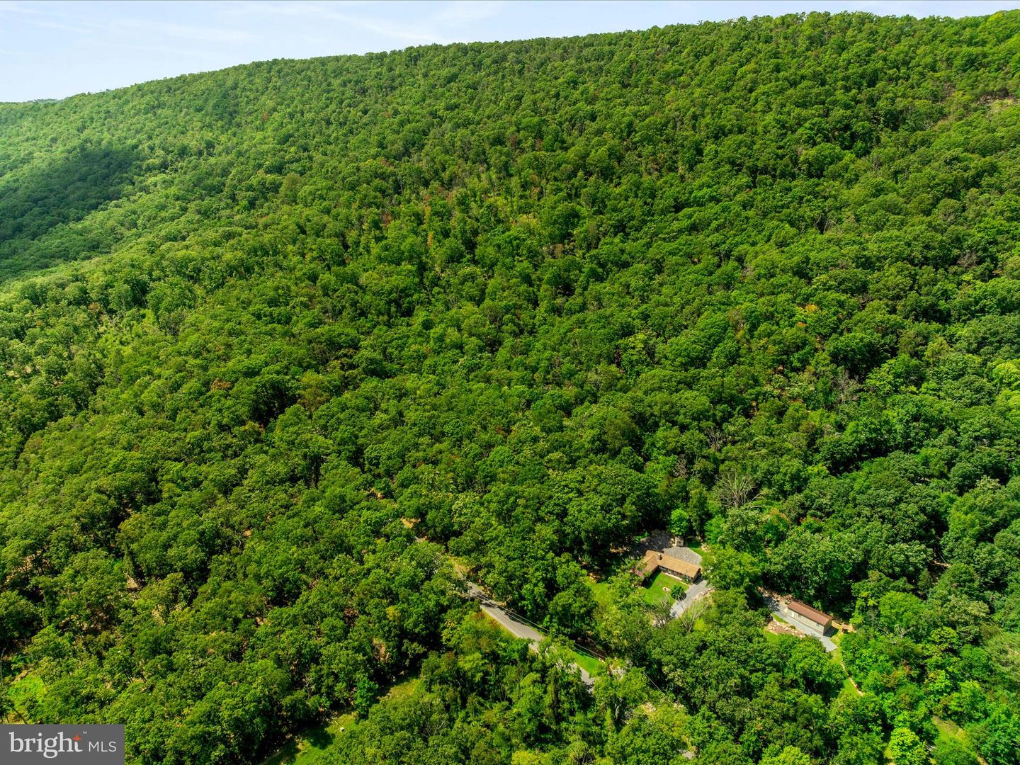 0 FORT VALLEY, LURAY, Virginia 22835, ,Land,For sale,0 FORT VALLEY,VAPA2005276 MLS # VAPA2005276 0 FORT VALLEY, LURAY, Virginia 22835, ,Land,For sale,0 FORT VALLEY,VAPA2005276 MLS # VAPA2005276