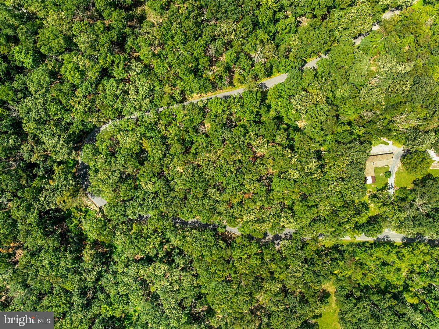 0 FORT VALLEY, LURAY, Virginia 22835, ,Land,For sale,0 FORT VALLEY,VAPA2005276 MLS # VAPA2005276 0 FORT VALLEY, LURAY, Virginia 22835, ,Land,For sale,0 FORT VALLEY,VAPA2005276 MLS # VAPA2005276