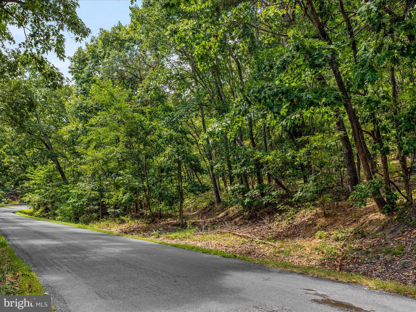 0 FORT VALLEY, LURAY, Virginia 22835, ,Land,For sale,0 FORT VALLEY,VAPA2005276 MLS # VAPA2005276 0 FORT VALLEY, LURAY, Virginia 22835, ,Land,For sale,0 FORT VALLEY,VAPA2005276 MLS # VAPA2005276
