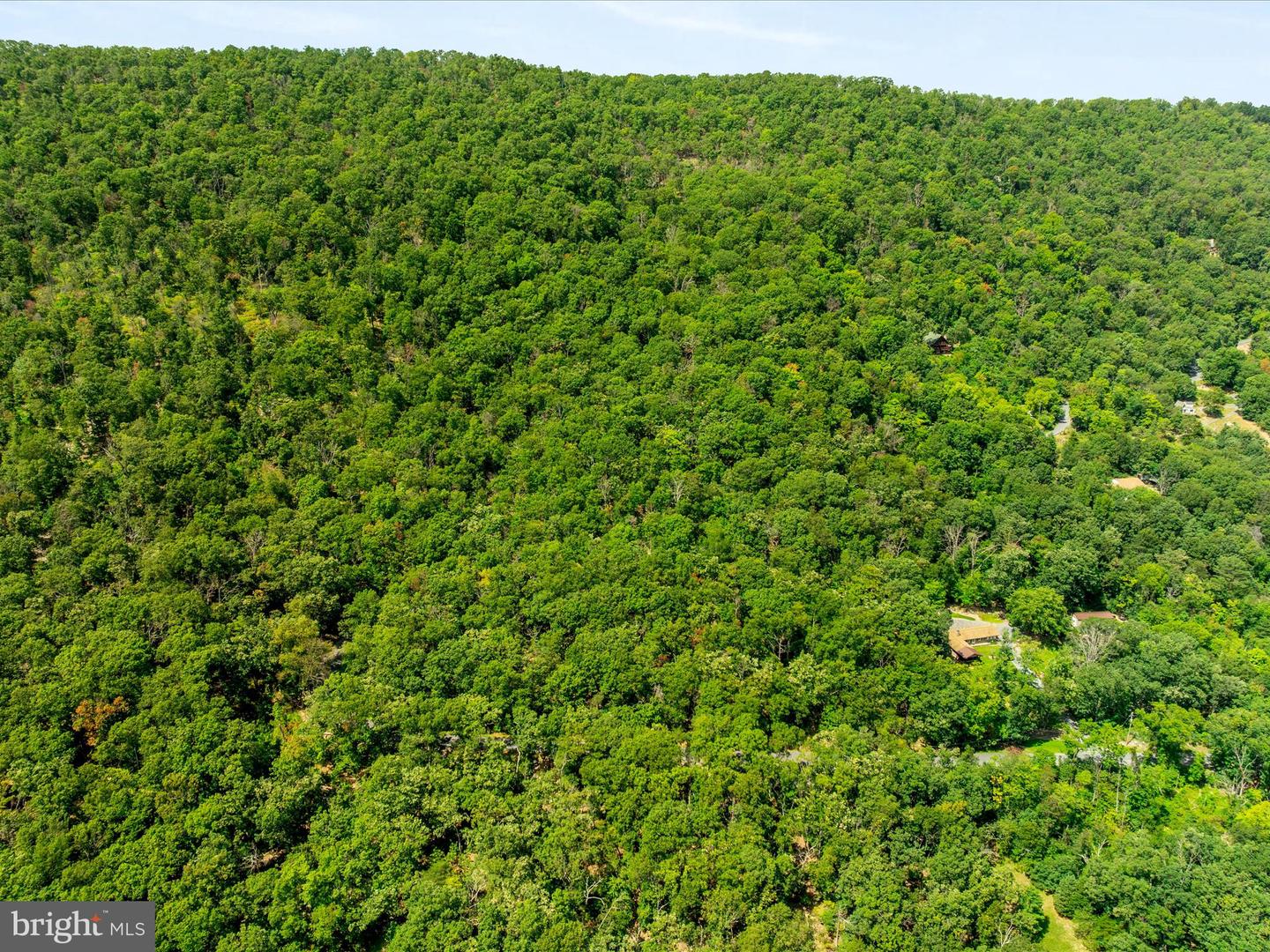 0 FORT VALLEY, LURAY, Virginia 22835, ,Land,For sale,0 FORT VALLEY,VAPA2005276 MLS # VAPA2005276 0 FORT VALLEY, LURAY, Virginia 22835, ,Land,For sale,0 FORT VALLEY,VAPA2005276 MLS # VAPA2005276