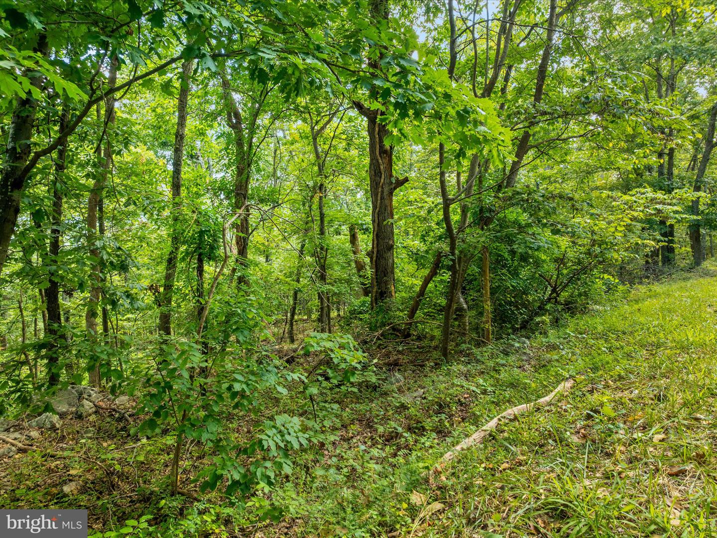 0 FORT VALLEY, LURAY, Virginia 22835, ,Land,For sale,0 FORT VALLEY,VAPA2005276 MLS # VAPA2005276 0 FORT VALLEY, LURAY, Virginia 22835, ,Land,For sale,0 FORT VALLEY,VAPA2005276 MLS # VAPA2005276