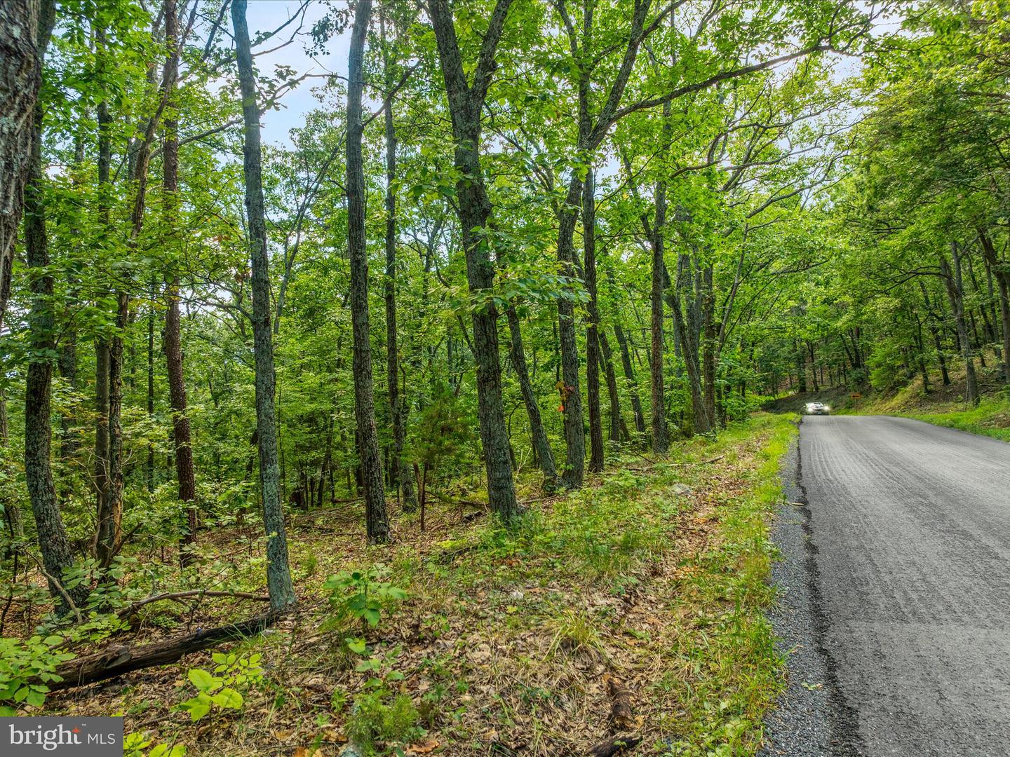 0 FORT VALLEY, LURAY, Virginia 22835, ,Land,For sale,0 FORT VALLEY,VAPA2005276 MLS # VAPA2005276 0 FORT VALLEY, LURAY, Virginia 22835, ,Land,For sale,0 FORT VALLEY,VAPA2005276 MLS # VAPA2005276