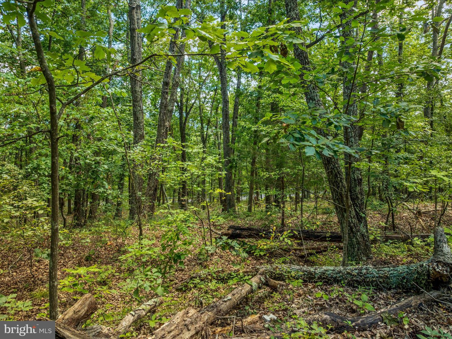 0 FORT VALLEY, LURAY, Virginia 22835, ,Land,For sale,0 FORT VALLEY,VAPA2005276 MLS # VAPA2005276 0 FORT VALLEY, LURAY, Virginia 22835, ,Land,For sale,0 FORT VALLEY,VAPA2005276 MLS # VAPA2005276