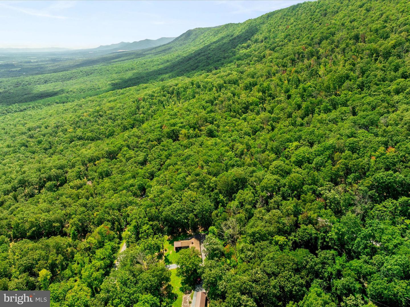 0 FORT VALLEY, LURAY, Virginia 22835, ,Land,For sale,0 FORT VALLEY,VAPA2005276 MLS # VAPA2005276 0 FORT VALLEY, LURAY, Virginia 22835, ,Land,For sale,0 FORT VALLEY,VAPA2005276 MLS # VAPA2005276