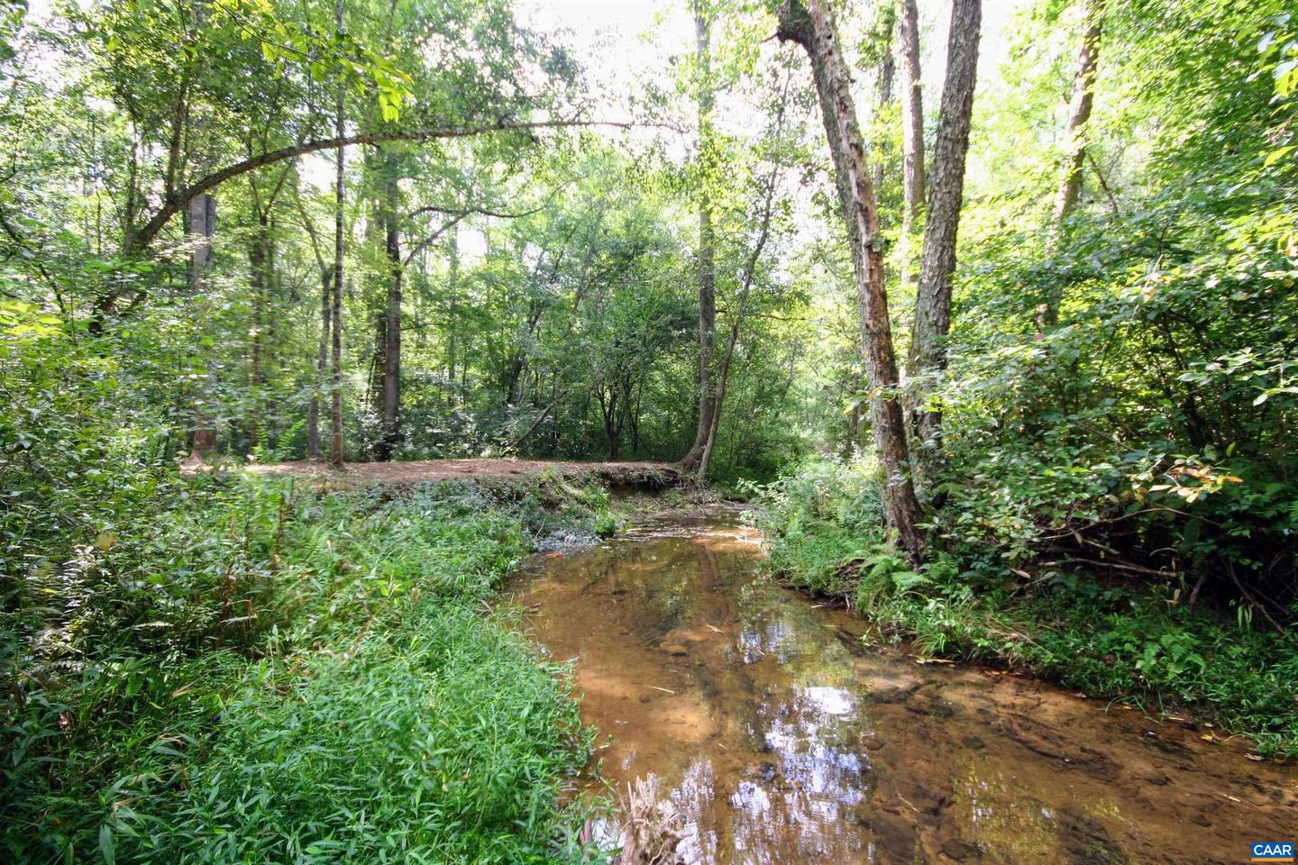 TBA BETTYS BRANCH RD #X, ARVONIA, Virginia 23004, ,Land,For sale,TBA BETTYS BRANCH RD #X,668035 MLS # 668035